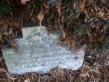 image of grave number 266299
